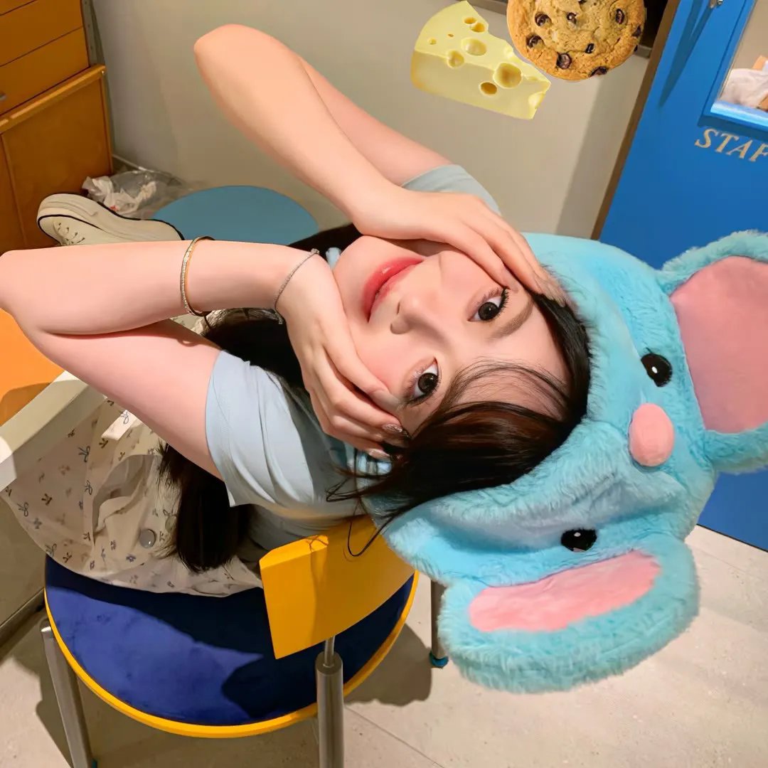 白莲花